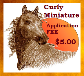 Curly Miniature Application FEE
